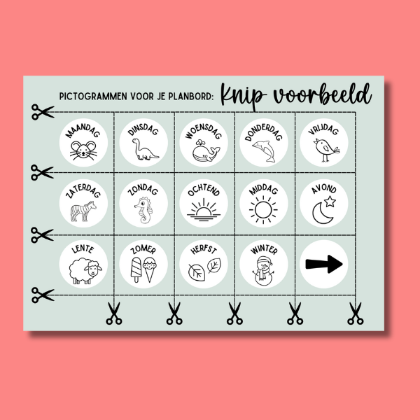 Planner Bundel incl 210 dagritme pictogrammen