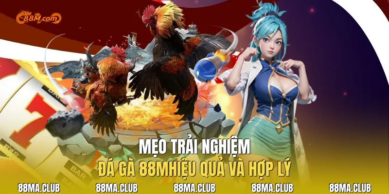 Mẹo trải nghiệm|Đá Gà 88Mhiệu quả và hợp lý